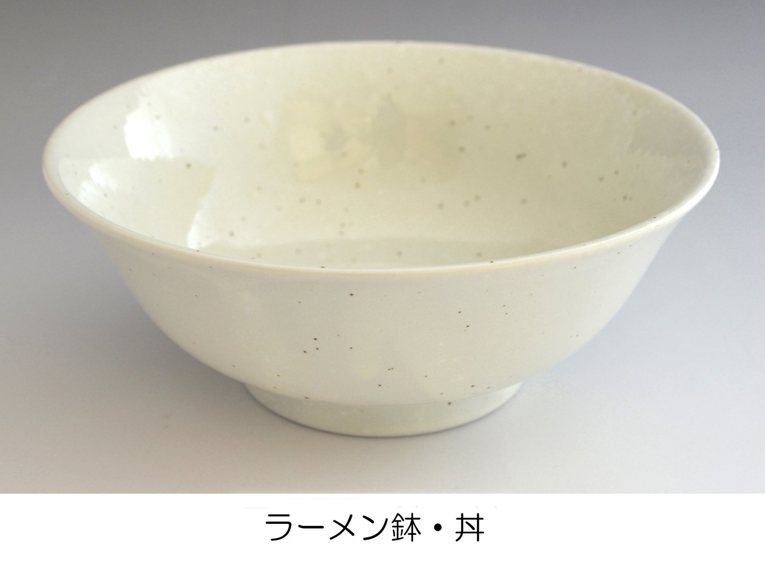 Amazon.co.jp: 美濃焼 和食器 16点セット ナチュラルホワイト